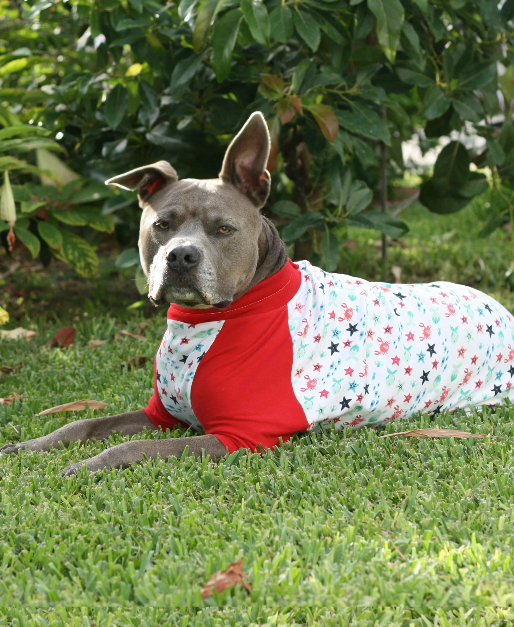 Crabby Sea Creature Dog Pajamas