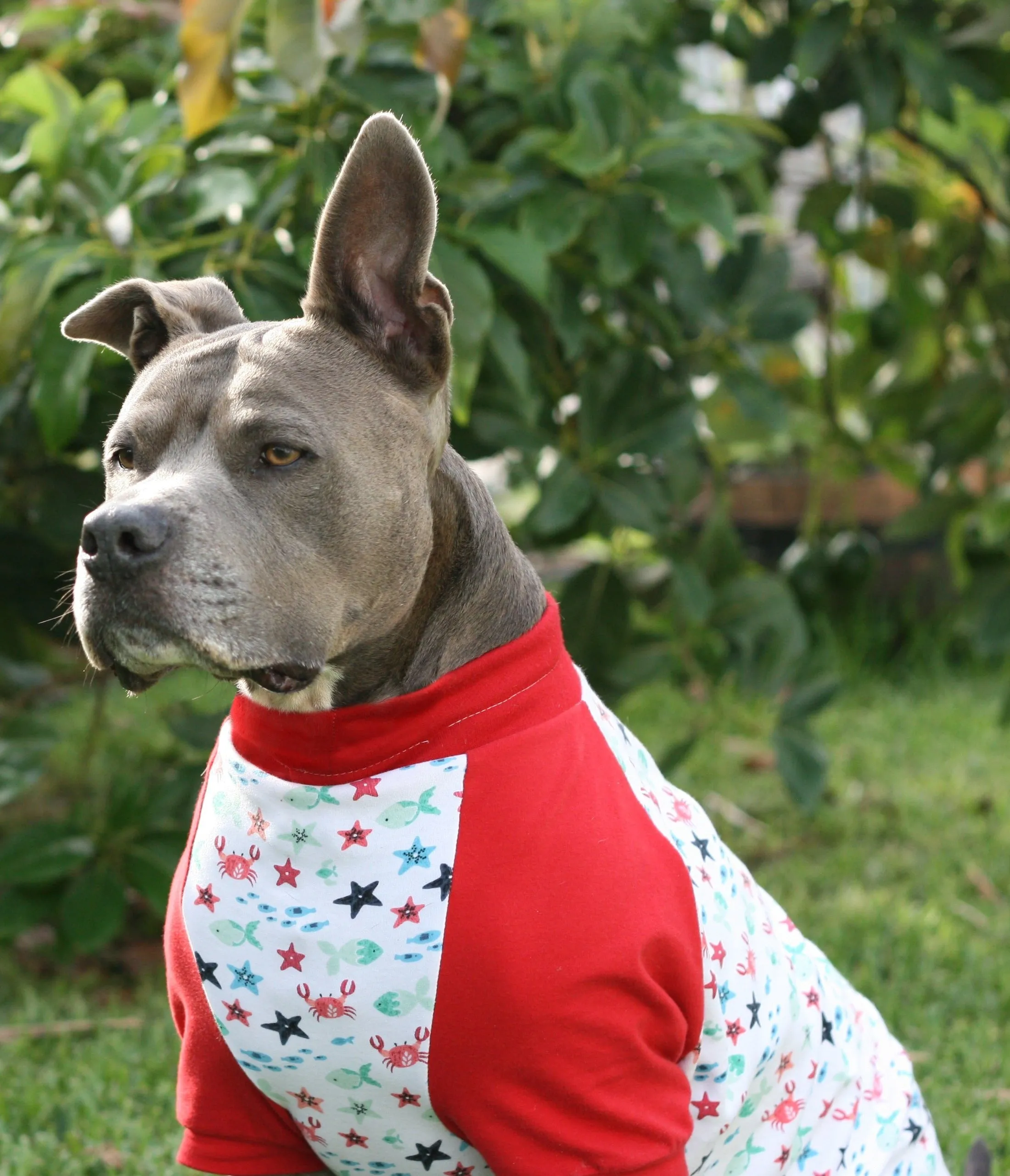 Crabby Sea Creature Dog Pajamas